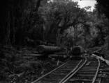 Transporting logs with horses in the Akatarawa Bush, Hutt Valley, 1912-1916