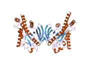 2p6x: Crystal structure of human tyrosine phosphatase PTPN22