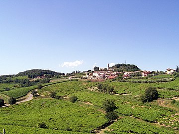 Castelcerino (frazione)