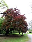 Schlosspark Matzen westlicher Teil