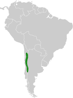 Distribución geográfica del chirigüe grande.