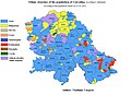 Ethnic structure of Vojvodina by settlements 2002.