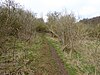 Wadenhoe Marsh and Achurch Meadow