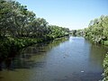 Wascana Creek in Les Sherman Park, West End, downstream from the Albert Street Bridge and Wascana Lake