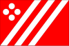 Flag of Žinkovy