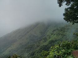 ಮುಳ್ಳಯ್ಯನ ಗಿರಿ ,ಚಿಕ್ಕಮಗಳೂರು