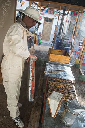 Beekeeper in Ayora's Primer Corte de la Miel festival