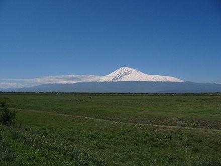 Արարատյան դաշտ