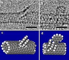 Électromicrographie en noir et blanc de nanotubes modifiés et interprétations.