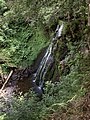 Cascade de Prés Longs, Cours d'eau : Le Lagnon