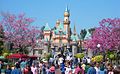 Tabebuia impetiginosa at Disneyland