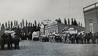 Calle en Dolavon hacia 1930.