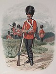 Grenadier Guards, 1889. (By 1815 the mitre cap, worn by both grenadiers and fusiliers, had evolved into the bearskin cap).