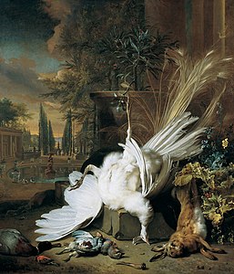 Le Paon blanc, 1692 Académie des beaux-arts de Vienne