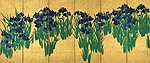 Irises in blossom on a gold background covering more than half of the screen.