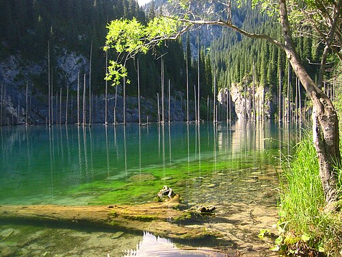 Kaindy lake south-east Kazakhstan