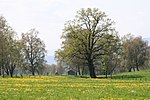 Lauteracher Ried beim Jannersee