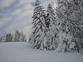 Vue du haut des pistes.