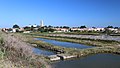 Marais salants sur l'île de Noirmoutier