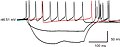 Finger print from a orexin neuron using same technique