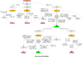 Diameter Accounting State Machines (Client)