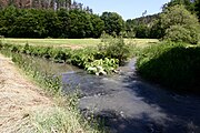 Der Zufluss des Eisenbach (oben rechts) in den Gelbach