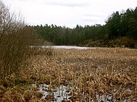 Västra delen av sjön.