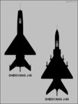 Shenyang J-8I (vänster) och J-8II (höger).