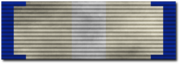 Silver Wikification Ribbon