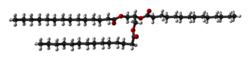 Ball-and-stick model of trimyristin