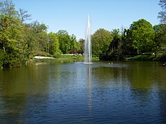 Le jet d’eau dans le parc.