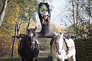 Training two circus horses in Russia.