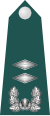 Middle lieutenant