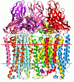 Methan-Monooxygenase (Methylococcus capsulatus)