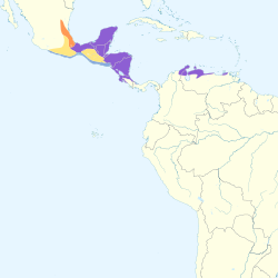 Distribución geográfica del mango pechiverde.