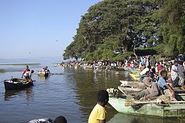 Marché au poisson.