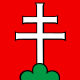 Drapeau de Elfingen