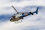 Eurocopter AS350B3 Ecureuil ou Esquilo