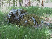 Dolmen de Péchaud