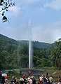 Geysir Andernach