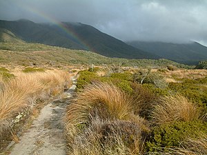 The Gouland Downs