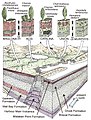 "Reconstruction of fossil soils and their biota in the Mistaken Point Formation of Newfoundland"