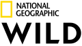 Logo de NATIONAL GEOGRAPHIC WILD (Depuis le 1er février 2019)