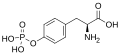 Phosphotyrosine