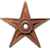 For great work on articles as well as contributions in a wide swath of project namespace areas, you have earned this barnstar. Keep up the phenomenal work!