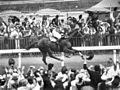 Image 18Phar Lap winning the Melbourne Cup, "the race that stops a nation" (from Culture of Australia)