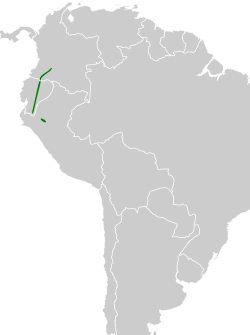 Distribución geográfica del orejerito ecuatoriano.