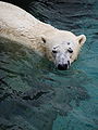 2010年2月14日 (日) 07:20時点における版のサムネイル