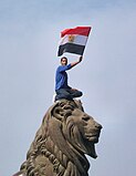 Protester during the 2011 Egyptian revolution