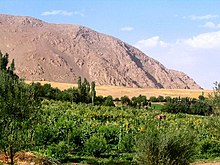 Vallée montagnarde avec cultures.